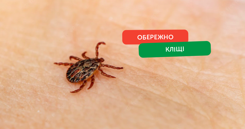 До якого лікаря звертатися якщо тебе вкусив кліщ