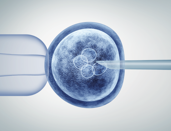 IVF with fresh donor oocytes
